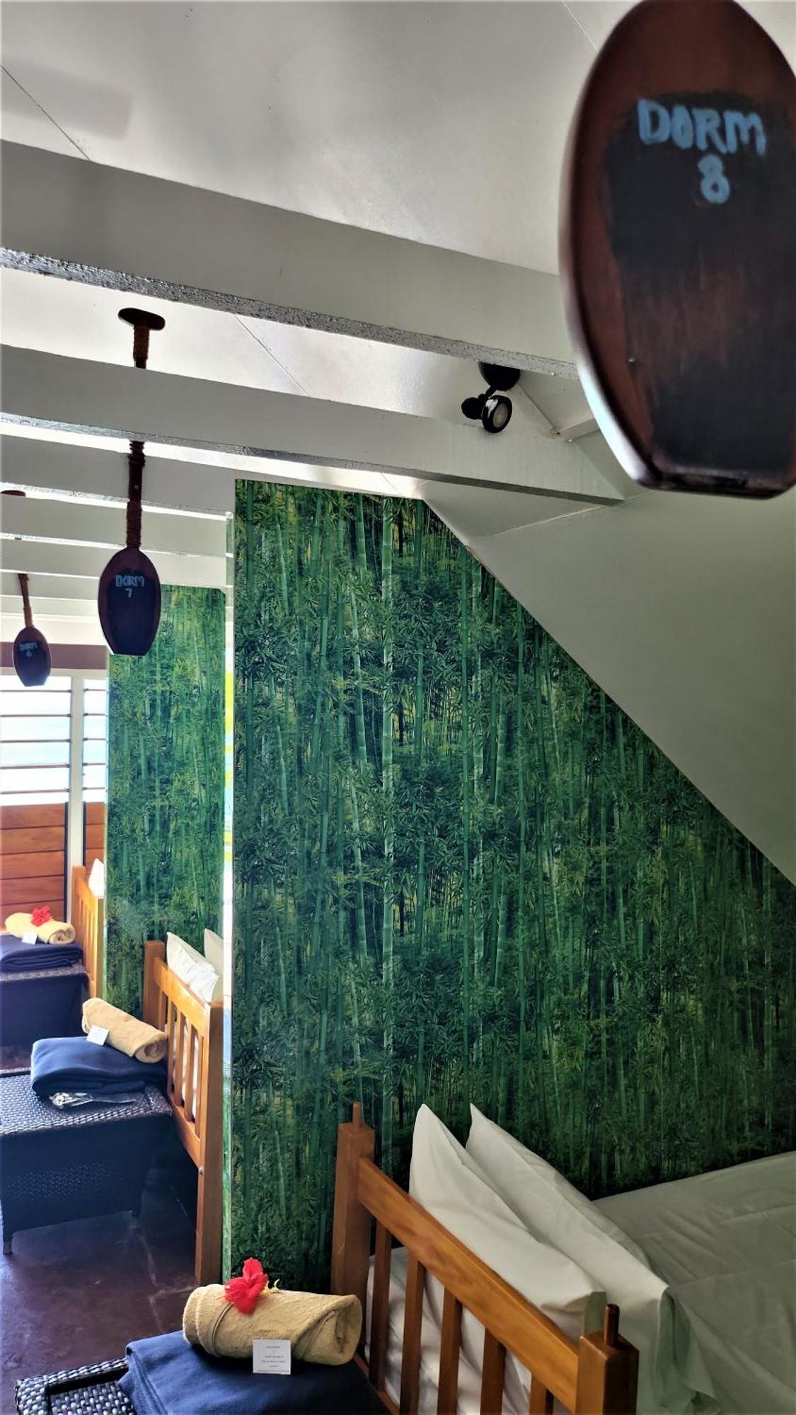 Oarsman'S Bay Lodge Naisisili エクステリア 写真