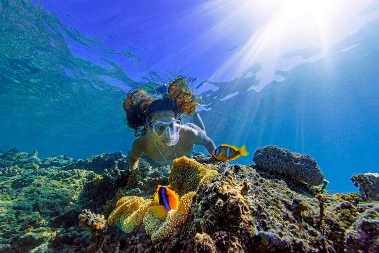 Oarsman'S Bay Lodge Naisisili エクステリア 写真
